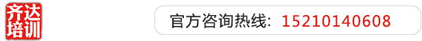 🈲a级毛湿湿老司机齐达艺考文化课-艺术生文化课,艺术类文化课,艺考生文化课logo